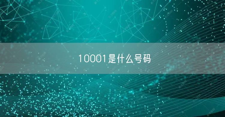 10001是什么号码