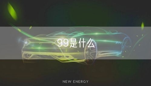 99是什么