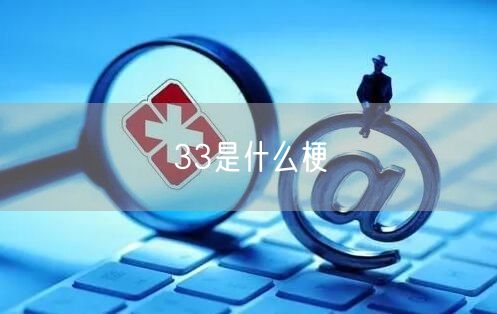 33是什么梗