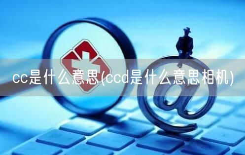 cc是什么意思(ccd是什么意思相机)