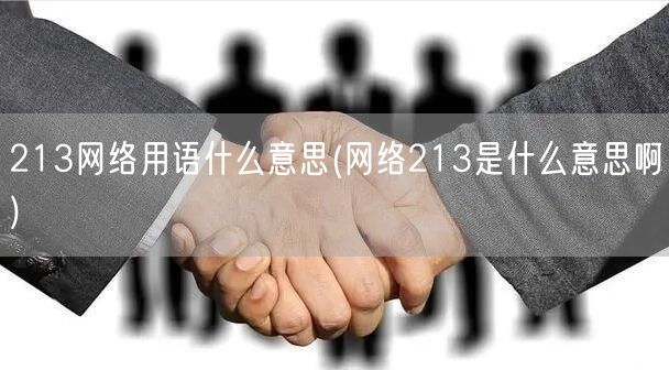 213网络用语什么意思(网络213是什么意思啊)