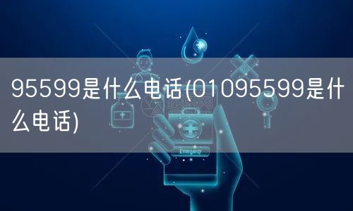 95599是什么电话(01095599是什么电话)