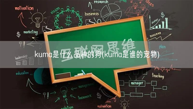 kuma是什么品种的狗(kuma是谁的宠物)