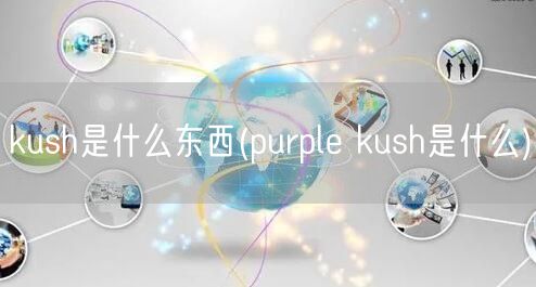 kush是什么东西(purple kush是什么)