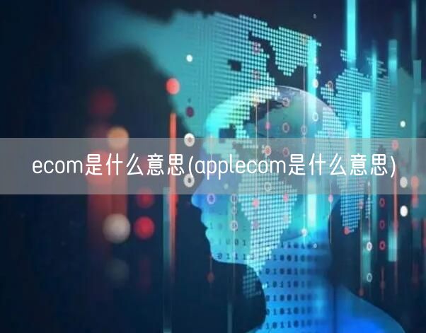 ecom是什么意思(applecom是什么意思)