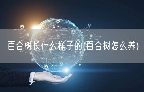 百合树长什么样子的(百合树怎么养)
