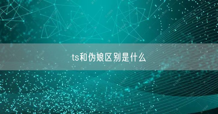 ts和伪娘区别是什么