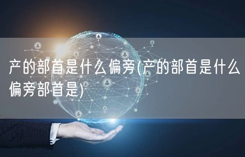 产的部首是什么偏旁(产的部首是什么偏旁部首是)