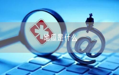 地瓜是什么