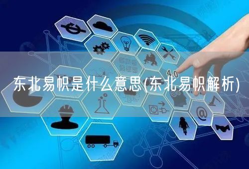 东北易帜是什么意思(东北易帜解析)