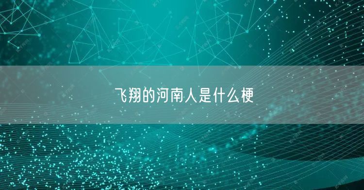 飞翔的河南人是什么梗