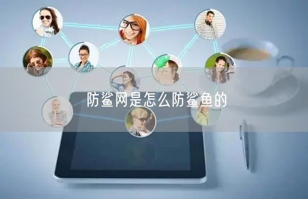 防鲨网是怎么防鲨鱼的