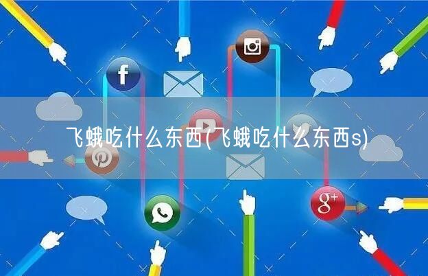 飞蛾吃什么东西(飞蛾吃什么东西s)