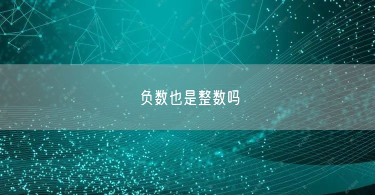 负数也是整数吗