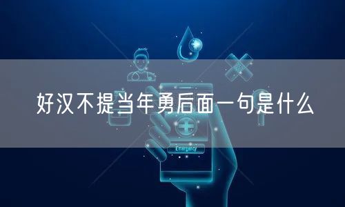 好汉不提当年勇后面一句是什么