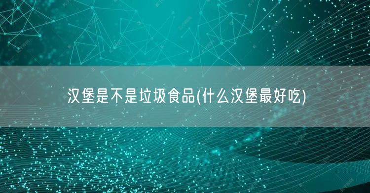 汉堡是不是垃圾食品(什么汉堡最好吃)