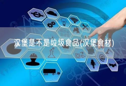 汉堡是不是垃圾食品(汉堡食材)