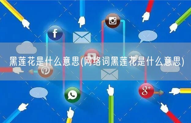 黑莲花是什么意思(网络词黑莲花是什么意思)