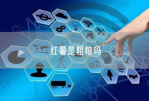 红薯是粗粮吗