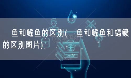 魟鱼和鳐鱼的区别(魟鱼和鳐鱼和蝠鲼的区别图片)