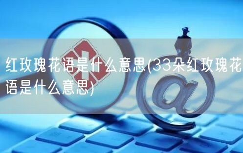 红玫瑰花语是什么意思(33朵红玫瑰花语是什么意思)