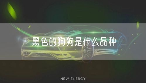 黑色的狗狗是什么品种