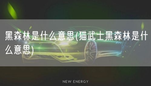 黑森林是什么意思(猫武士黑森林是什么意思)