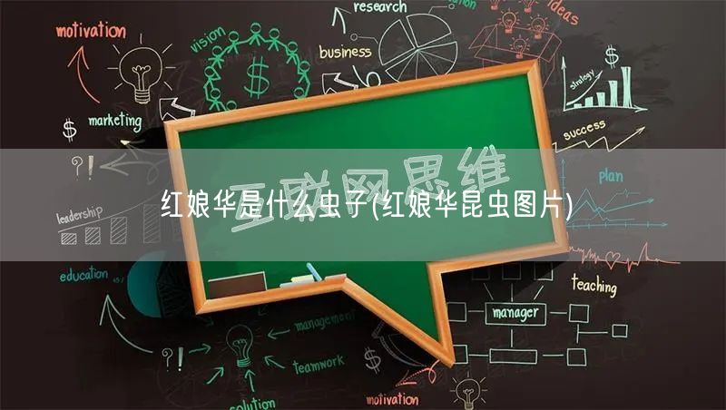 红娘华是什么虫子(红娘华昆虫图片)