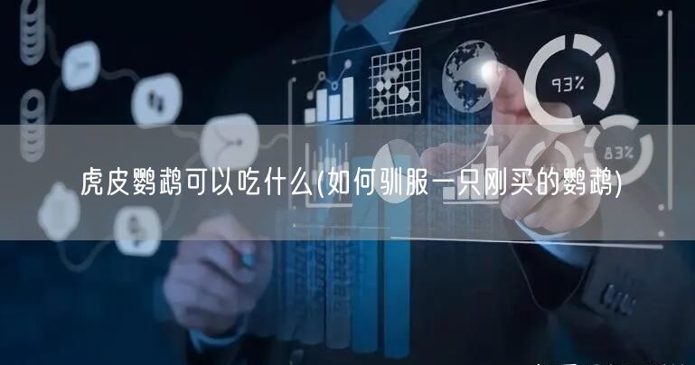 虎皮鹦鹉可以吃什么(如何驯服一只刚买的鹦鹉)