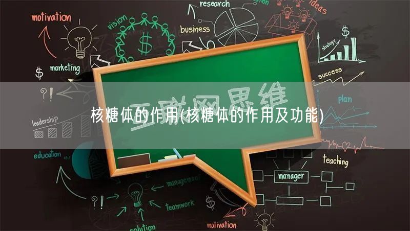 核糖体的作用(核糖体的作用及功能)