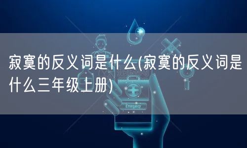 寂寞的反义词是什么(寂寞的反义词是什么三年级上册)