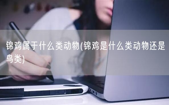 锦鸡属于什么类动物(锦鸡是什么类动物还是鸟类)