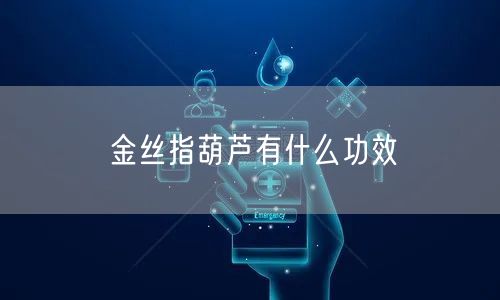 金丝指葫芦有什么功效