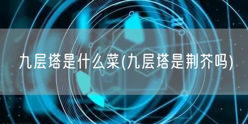 九层塔是什么菜(九层塔是荆芥吗)