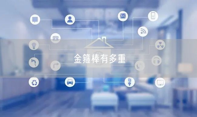 金箍棒有多重