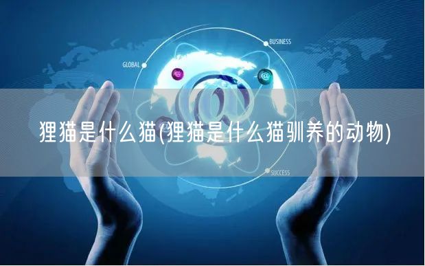 狸猫是什么猫(狸猫是什么猫驯养的动物)