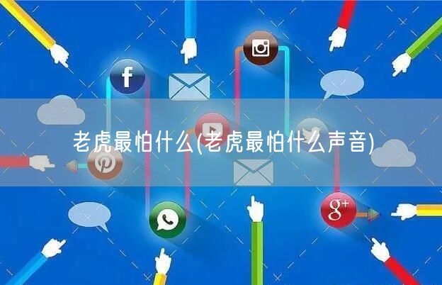老虎最怕什么(老虎最怕什么声音)