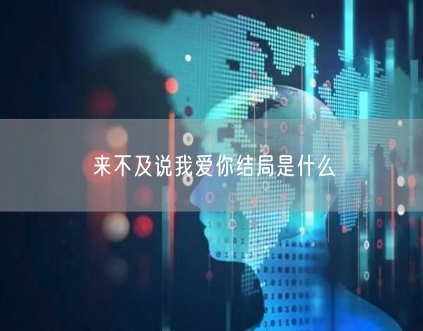 来不及说我爱你结局是什么