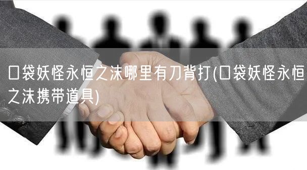 口袋妖怪永恒之沫哪里有刀背打(口袋妖怪永恒之沫携带道具)