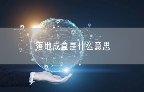 落地成盒是什么意思