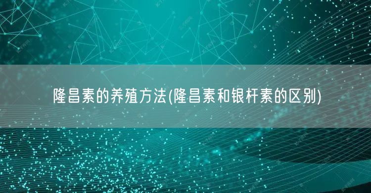 隆昌素的养殖方法(隆昌素和银杆素的区别)