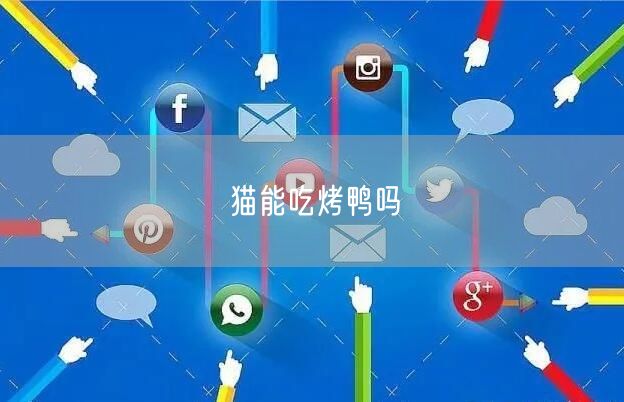 猫能吃烤鸭吗