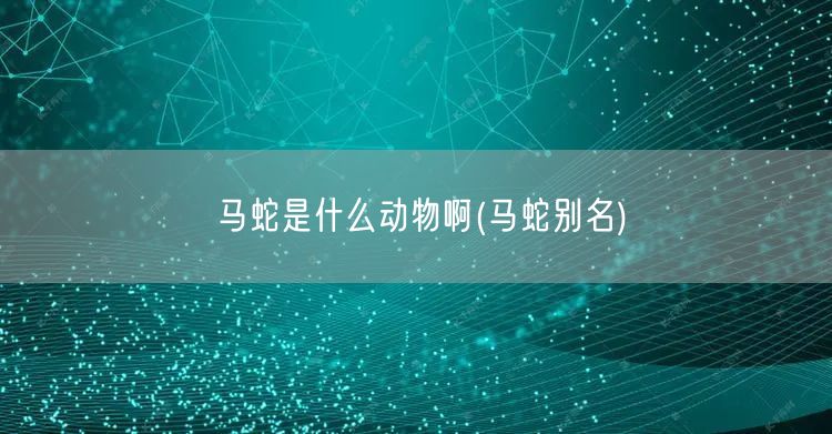 马蛇是什么动物啊(马蛇别名)