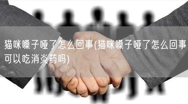 猫咪嗓子哑了怎么回事(猫咪嗓子哑了怎么回事可以吃消炎药吗)