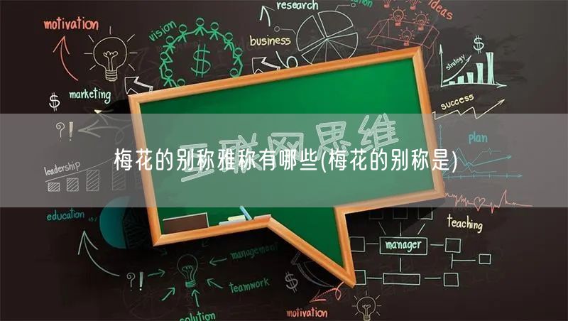 梅花的别称雅称有哪些(梅花的别称是)