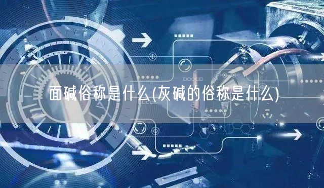 面碱俗称是什么(灰碱的俗称是什么)
