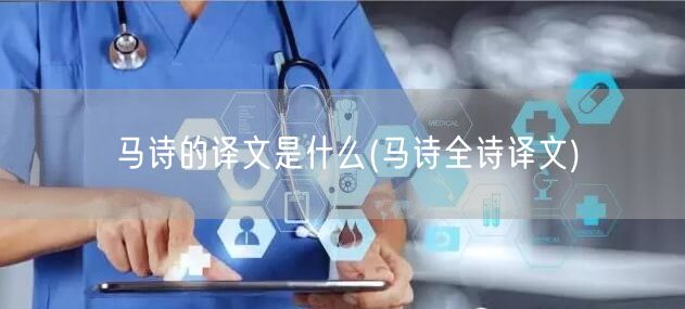 马诗的译文是什么(马诗全诗译文)