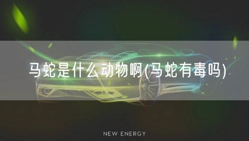 马蛇是什么动物啊(马蛇有毒吗)
