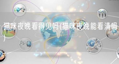 猫咪夜晚看得见吗(猫咪夜晚能看清吗)
