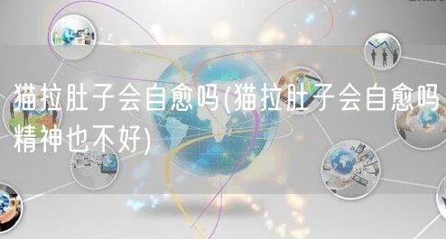 猫拉肚子会自愈吗(猫拉肚子会自愈吗精神也不好)